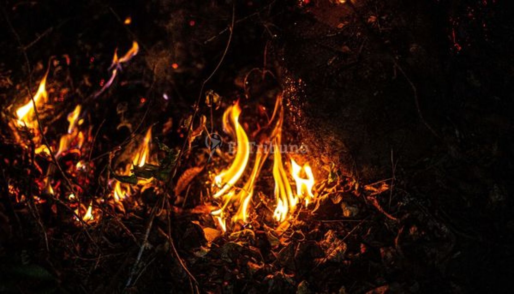 El norte en llamas: difunden cuánto podría costar la multa por quema de cañaverales